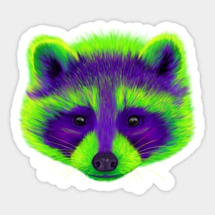 Purple and Green Raccoon Sticker